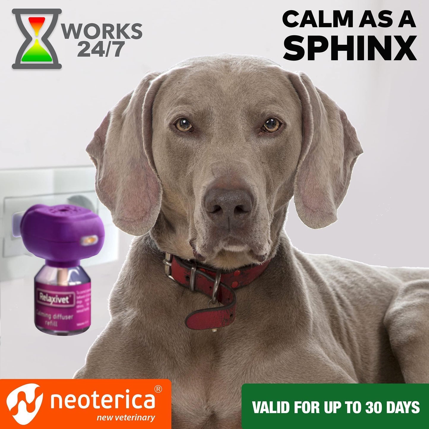 Essential Calming Pheromone Kit